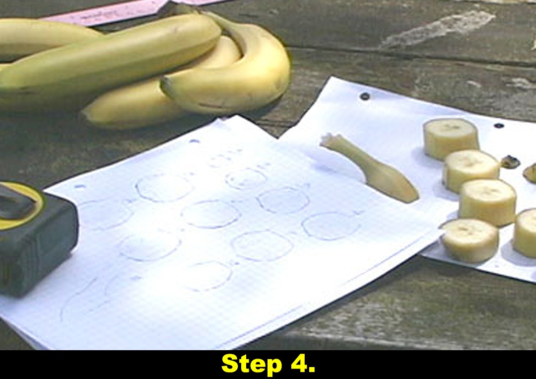 big-banana-car-about-how-to-build_STEP-4.jpg